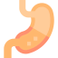 Stomach іконка 64x64