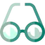 Eyeglasses icon 64x64