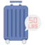 Baggage biểu tượng 64x64