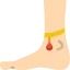 Ankle ícono 64x64
