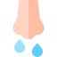 Runny nose icon 64x64