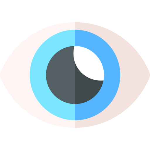 Eye icon