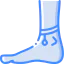 Ankle ícono 64x64