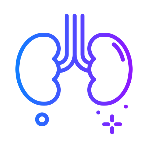 Kidneys icône