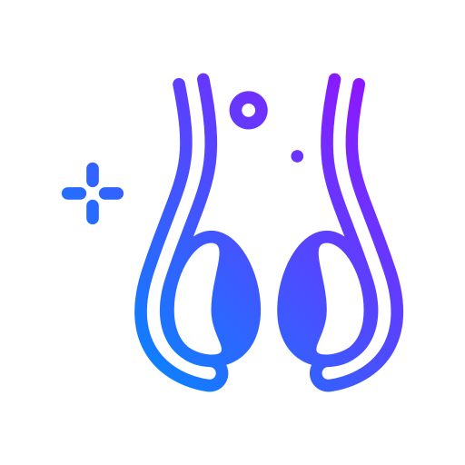Testicles icon