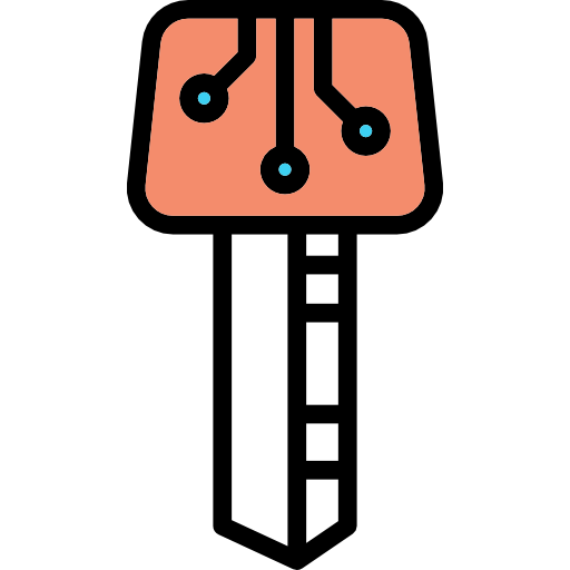 Electronic key icon