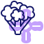 Cauliflower icon 64x64