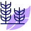 Wheat plant biểu tượng 64x64