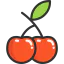 Cherry іконка 64x64