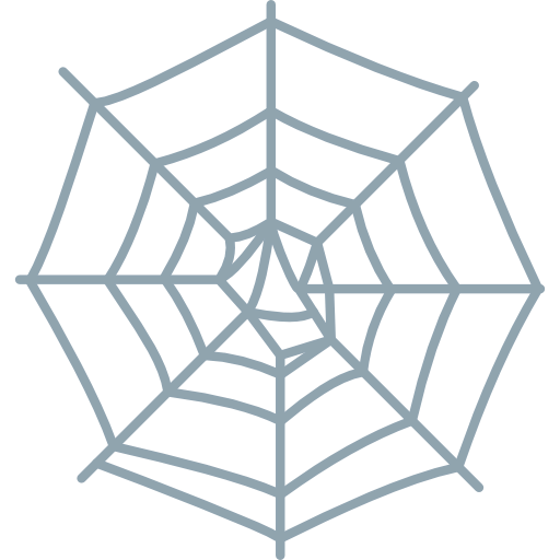 Spider web icon