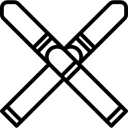 Ski icon