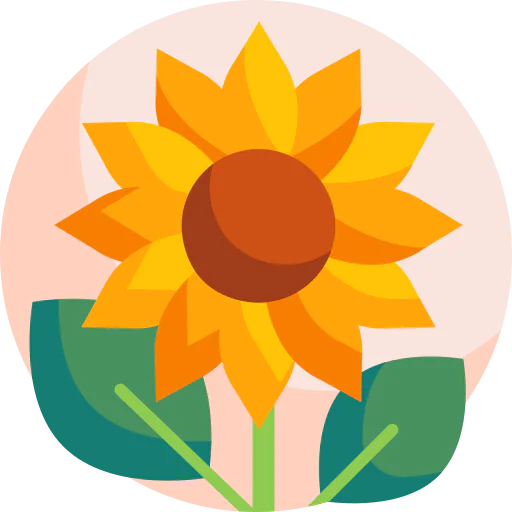 Sunflower biểu tượng