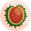 Chestnut іконка 64x64