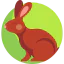 Rabbit ícono 64x64