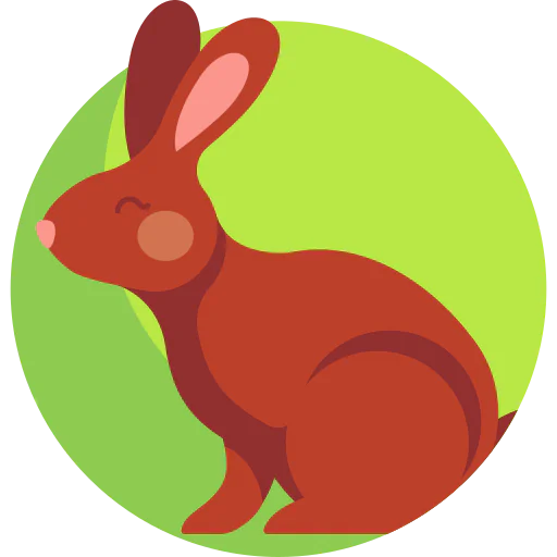 Rabbit icône
