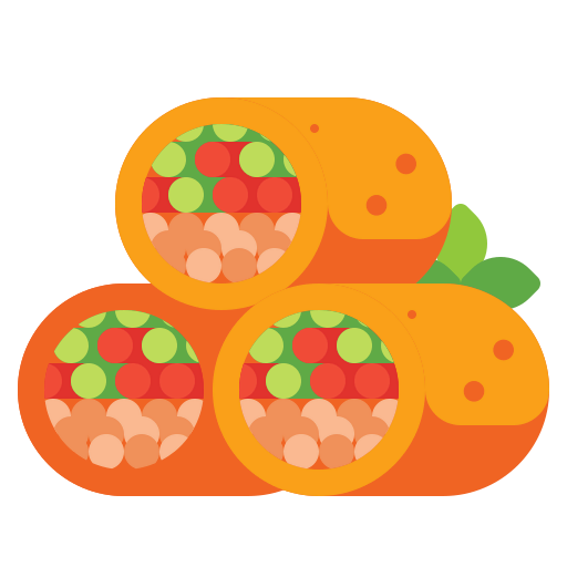 Spring rolls icon