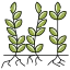 Harvest ícono 64x64