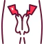 Urology icon 64x64
