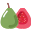 Guava ícono 64x64