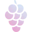 Grapes ícone 64x64