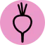 Beet icon 64x64