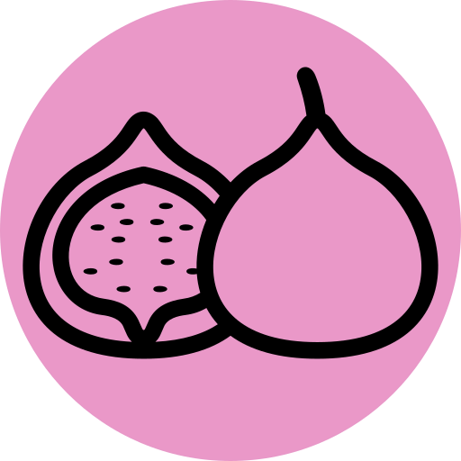 Fig icon