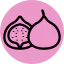 Fig icon 64x64