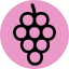 Grapes icon 64x64