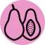 Papaya icon 64x64