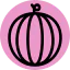 Watermelon icon 64x64