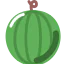 Watermelon icon 64x64