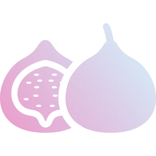 Fig icon