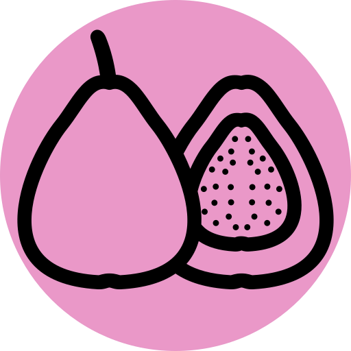 Guava icône