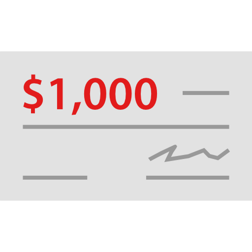 Cheque icon