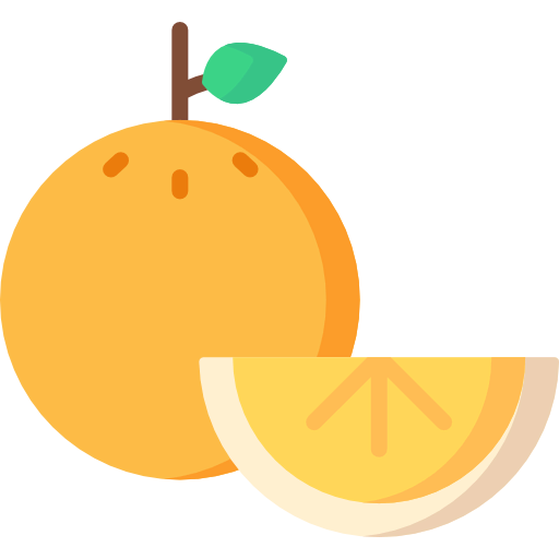 Orange icon