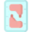 Chicken icon 64x64