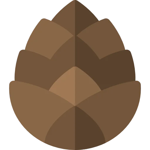 Pine cone icon