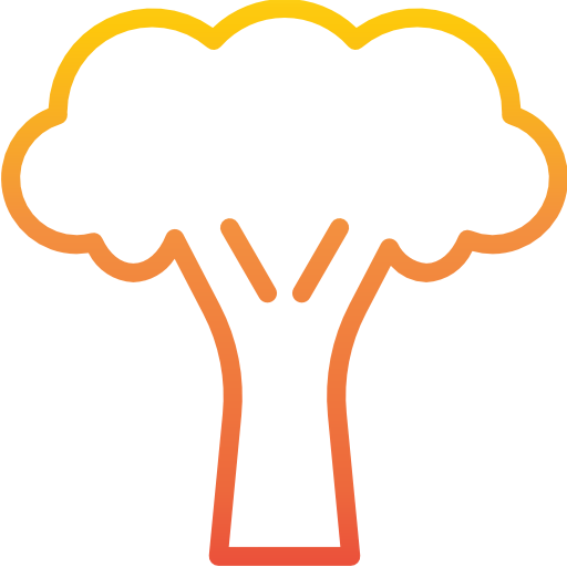 Broccoli icon