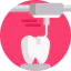 Tooth icon 64x64