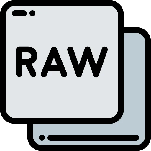 Raw file 图标
