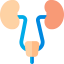 Urinary tract 图标 64x64