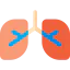 Lungs 图标 64x64