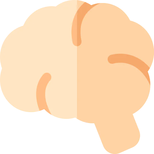 Brain icon
