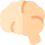 Brain 图标 64x64
