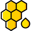 Honey アイコン 64x64