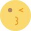 Wink icon 64x64