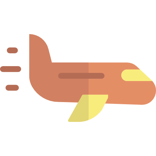 Plane icon