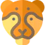 Leopard іконка 64x64