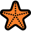 Sea star icon 64x64