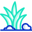 Plant icon 64x64
